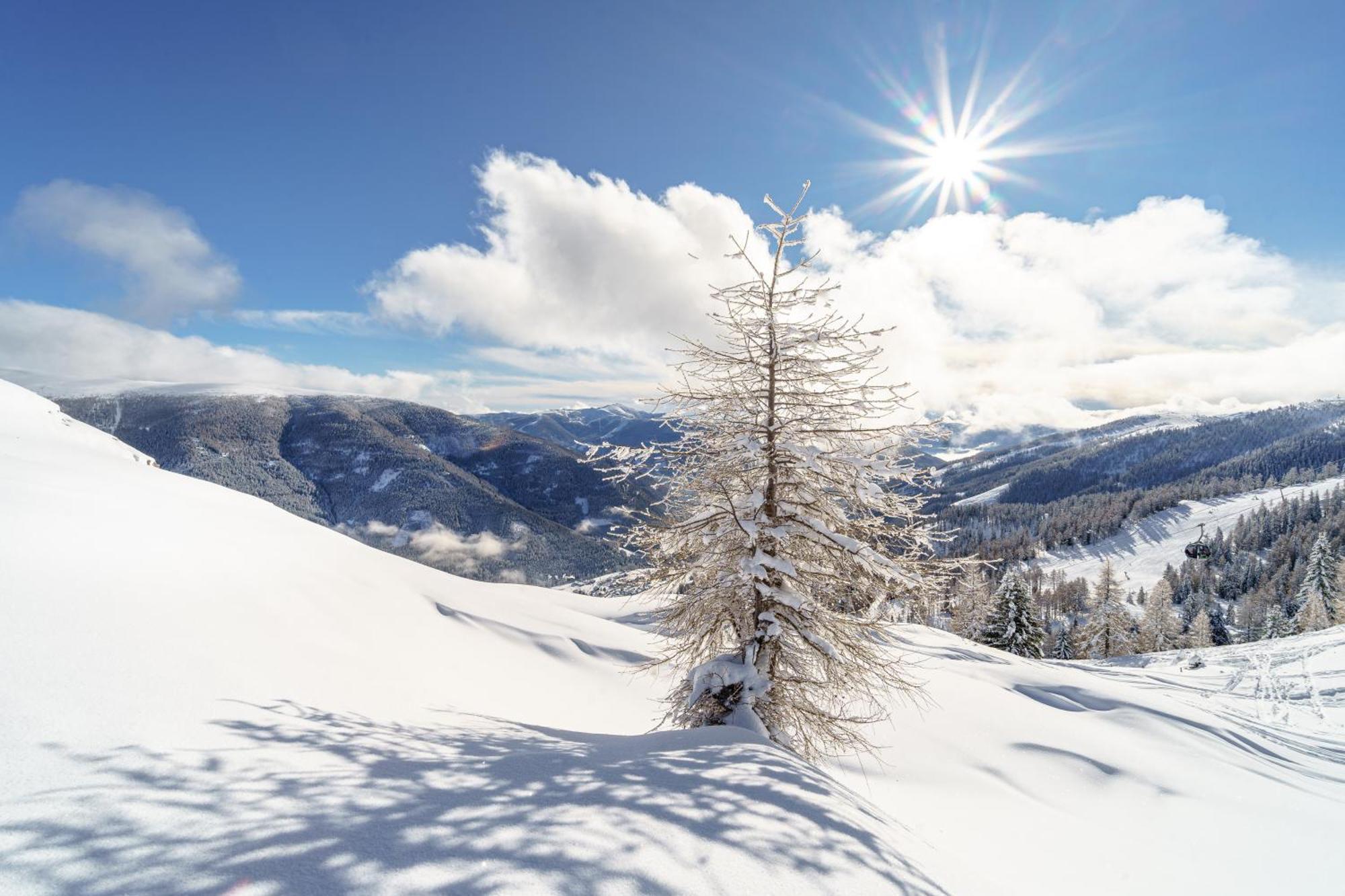 Deluxe Panorama Apartment-Maibrunn-Alm Bad Kleinkirchheim Exteriör bild