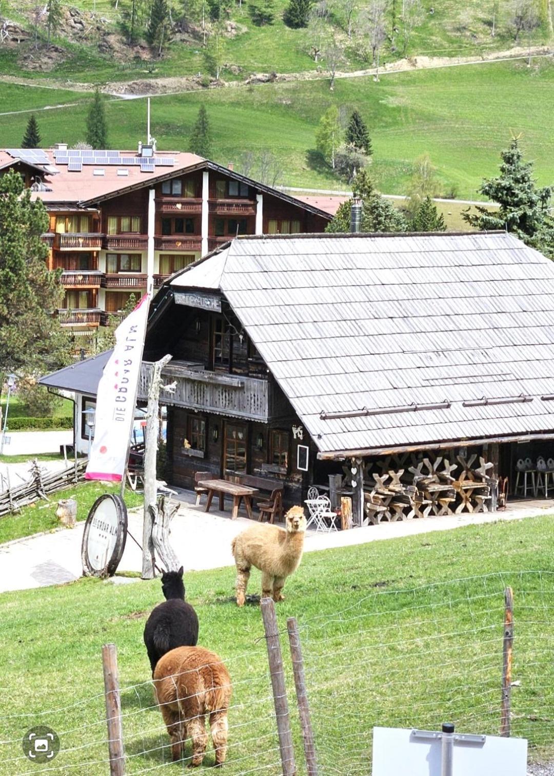 Deluxe Panorama Apartment-Maibrunn-Alm Bad Kleinkirchheim Exteriör bild